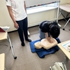【特別活動】「もしも」に備える力を学ぶ ～救命講習を実施しました～
