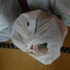 子供と猫は土産をねだる。