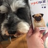 【三ヶ月持続】犬用ノミ・マダニ駆除薬『ブラベクト錠』