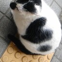 上京リーマンの徒然日記