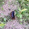 弘法大師空海のお話㉞ ～ お大師さまの和歌は宗派を超えて ～ 「法の水茎」156