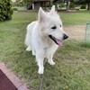 いつになく熱い北海道