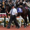 インディチャンプ、福永騎手とのコンビで阪神Cへ。