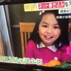 ベトナムの女の子の殺人事件と地域のつながり