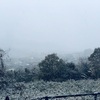 初雪！