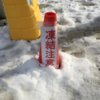 雪に埋もれロン