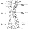 【　三角形をつみあげる　】