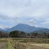 2024/04/08 月曜日　桜咲く