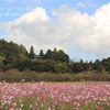 偕楽園公園・秋まっさかり・・①