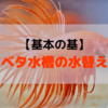 【基本の基】ベタ水槽の水替え