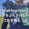 ナルゲンボトルをカラビナで吊り下げたら登山中のQOLが爆上がりした話【Peakfourteen water bottle holder】