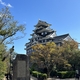 【岡山出張2023年11月②】人生初の岡山出張　岡山城観光からのANAプレミアムクラス