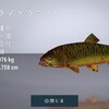 Fishing Planet：ロッキー湖-怪物魚ティラノトラウト