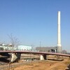 　やっぱり自然にゃかなわない