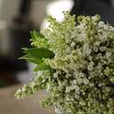 littlefuzzyfeliceのブログ