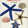 海の五角形、棘皮動物―『ヒトデ学』