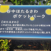 消えた地名「谷中村字蛍沢」を追う――路上の痕跡と文献が語る蛍の名所