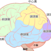 被害回顧録　 強制入院生活の異常な出来事😁　ちょっとだけでm(_ _)m