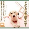 それでもエピ。『９．１１』に居た盲導犬の話。