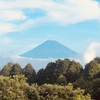 今朝の景色