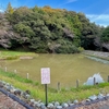 荒沢池・棚池（静岡県御前崎）