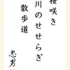 桜咲き 川のせせらぎ 散歩道