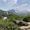 高山植物咲き乱れ【朝日岳】