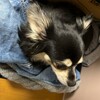 まろにー3471日目