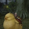 FF14を始めるならパッチ5.3を待……たないでほしいオジサンのつぶやき