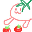 tomatojuicer222's diary