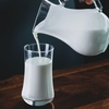 【健康】牛乳の断捨離⁈〜牛乳の代わりに豆乳で代用〜