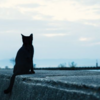 他人の心を勝手に想像して悶々としてはいないか？
