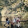 Wild Life / Wings