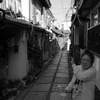 古都猫色2019秋9。