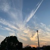 オリンピックやってるらしいね？