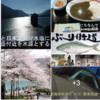 「飛騨ぶり」と「東洋一の亜鉛・鉛の鉱山町」 🐟　船津座＆神岡城址 ^^!