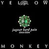 THE YELLOW MONKEY「悲しきASIAN BOY」