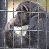 平川動物公園に行ってきました vol.03