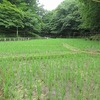 野川北公園（東京都武蔵村山市）