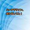 お方さま・再起動（リブート）！！ポンコツ夫婦ランナー（妻）の軌跡　その4　【フルマラソン編】　そしてついに！フルマラソンへ！17ヶ月前、キロ9分で1kmも走れなかったヤツが、いかにしてフルマラソンに挑んだのか？！　その2