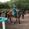 指名馬情報:牝馬第1位