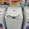 ゆんゆんふぁいたー的家電の選び方大公開！今回は洗濯機をガチ選び！！ES-PU11C-S