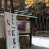 京都の紅葉2015・嵐山の紅葉全滅、最悪の色づき
