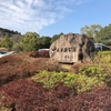 宮崎プチ旅行。　　　　隠れデートスポット。　法華嶽薬師寺1300年祭と、日本庭園。