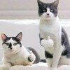 バイトちゃん達との夜話