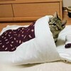 大学共通テストが終わって…一人思う