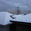 久しぶりの雪だね
