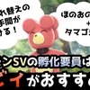 【ポケモンSV】孵化要員は「ブビィ」が一番おすすめ！