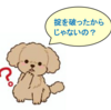『高い買い物』