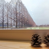 滋賀琵琶湖湖西美食 | Namiki Cafe Metasequoia（並木カフェ メタセコイア） | 滋賀山景盡收眼底的露營咖啡廳@日本滋賀